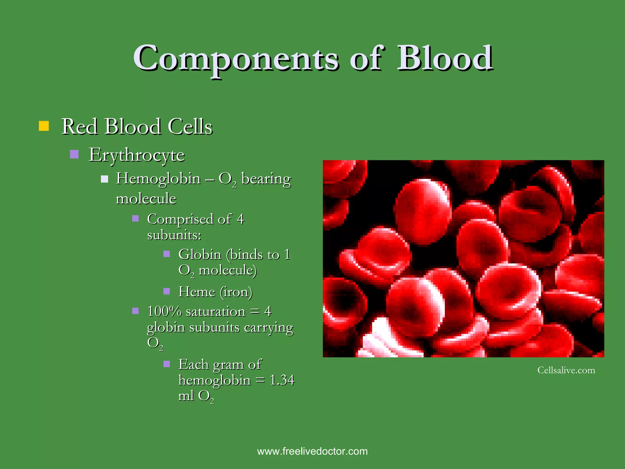 Introduction to hematology Biology Diagrams