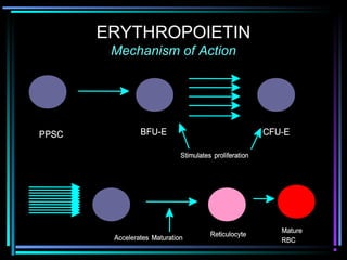 ERYTHROPOIETIN
Mechanism of Action
 
