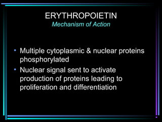 ERYTHROPOIETIN
Mechanism of Action
• Multiple cytoplasmic & nuclear proteins
phosphorylated
• Nuclear signal sent to activate
production of proteins leading to
proliferation and differentiation
 