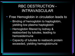 RBC DESTRUCTION -
INTRAVASCULAR
• Free Hemoglobin in circulation leads to
– Binding of hemoglobin to haptoglobin,
yielding low plasma haptoglobin
– Hemoglobin filtered by kidney &
reabsorbed by tubules, leading to
hemosiderinuria
– Capacity of tubules to reabsorb protein
exceeded, yielding hemoglobinuria
 