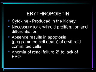 ERYTHROPOIETIN
• Cytokine - Produced in the kidney
• Necessary for erythroid proliferation and
differentiation
• Absence results in apoptosis
(programmed cell death) of erythroid
committed cells
• Anemia of renal failure 2° to lack of
EPO
 