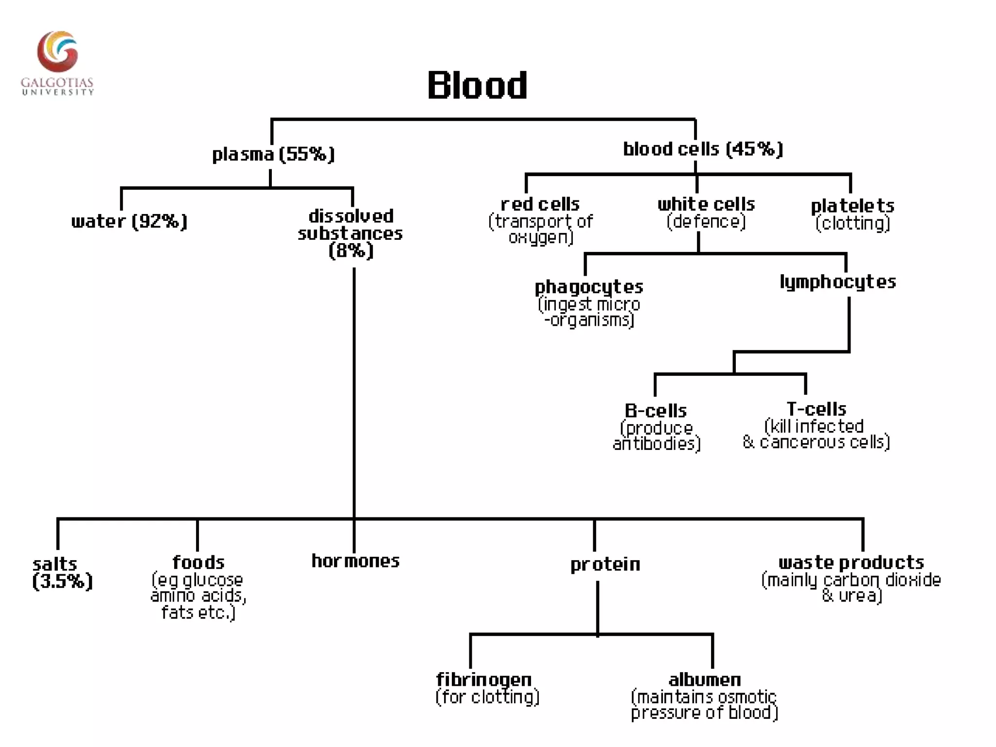 Hemo Types Introduction to hematology | PPTX