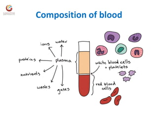 Composition of blood
 