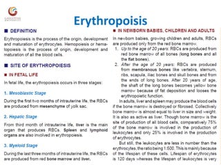 Erythropoisis
 