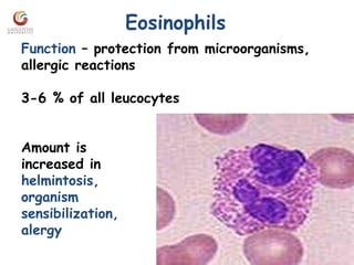 Eosinophils
Amount is
increased in
helmintosis,
organism
sensibilization,
alergy
Function – protection from microorganisms,
allergic reactions
3-6 % of all leucocytes
 