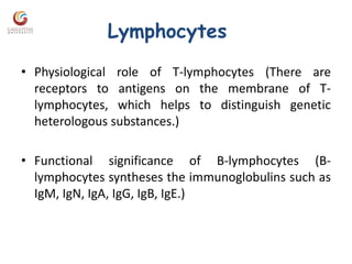 Lymphocytes
• Physiological role of T-lymphocytes (There are
receptors to antigens on the membrane of T-
lymphocytes, which helps to distinguish genetic
heterologous substances.)
• Functional significance of B-lymphocytes (B-
lymphocytes syntheses the immunoglobulins such as
IgM, IgN, IgA, IgG, IgB, IgE.)
 