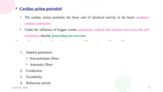 JULY 29, 2026 11
 Drugs action on heart can be understood by following properties –
 Cardiac action potential
• The cardiac action potential, the basic unit of electrical activity in the heart, produces
cardiac contraction.
• Under the influence of trigger events, potassium, sodium and calcium ions cross the cell
membrane, thereby generating ion currents.
1. Impulse generation
• Non-automatic fibres
• Automatic fibres
2. Conduction
3. Excitability
4. Refractory period
 