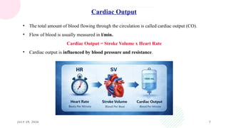 JULY 29, 2026 7
• The total amount of blood flowing through the circulation is called cardiac output (CO).
• Flow of blood is usually measured in l/min.
Cardiac Output = Stroke Volume x Heart Rate
• Cardiac output is influenced by blood pressure and resistance.
Cardiac Output
 