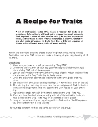 A Recipe for Traits 
A set of instructions called DNA makes a “recipe” for traits in all 
organisms. Information in a DNA strand is grouped into small segments. 
Each segment is made of even smaller units (like recipes are made of 
words, and words are made of letters). Differences in the DNA “alphabet” 
are what make differences in traits (just like a different sequence of 
letters makes different words, and a different recipe). 
Follow the directions below to create a DNA recipe for a dog. Using the Dog 
Traits Key, read your DNA recipe and make a drawing of your dog showing all of 
its traits. 
Directions: 
1. Make sure you have an envelope containing “Dog DNA”. 
2. Determine the first trait of your dog (body shape) by randomly picking a 
piece of dog DNA out of the envelope. 
3. Look at the symbols on the DNA strip you have chosen. Match the pattern to 
one you see on the Dog Traits Key for body shape. 
4. Circle the picture for body shape that matches the DNA piece that you 
picked. 
5. Set the piece of DNA aside and repeat steps 1-4 for the next trait on the key. 
6. After circling the matching picture, tape the second piece of DNA to the first 
to make one long strand. This will become the DNA recipe for your entire 
dog. 
7. Repeat these steps for each of the traits listed on the Dog Traits Key. 
8. When you have finished, draw your dog with all of its traits (the traits you 
have circled on the Dog Traits Key) on a separate piece of paper. 
9. Hang up the picture of your dog along with its DNA recipe (the DNA pieces 
you chose attached in a long strand). 
Is your dog different from or the same as others in the group? 
R.V.Raghavendra Rao, PGT Biology, Vizianagaram A.P. 2013 Heredity 
 