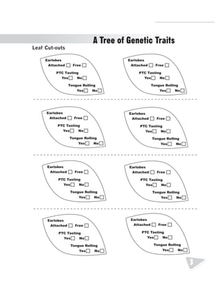 R.V.Raghavendra Rao 
Department of Biology 
3 
A Tree of Genetic Traits 
LAenaf I nCvuetn-toourtys of My Traits: Leaf Cut-Outs 
Earlobes 
Attached Free 
PTC Tasting 
Yes No 
Tongue Rolling 
Yes No 
Earlobes 
Attached Free 
PTC Tasting 
Yes No 
Tongue Rolling 
Yes No 
Earlobes 
Attached Free 
PTC Tasting 
Yes No 
Tongue Rolling 
Yes No 
Earlobes 
Attached Free 
PTC Tasting 
Yes No 
Tongue Rolling 
Yes No 
Earlobes 
Attached Free 
PTC Tasting 
Yes No 
Tongue Rolling 
Yes No 
Earlobes 
Attached Free 
PTC Tasting 
Yes No 
Tongue Rolling 
Yes No 
Earlobes 
Attached Free 
PTC Tasting 
Yes No 
Tongue Rolling 
Yes No 
Earlobes 
Attached Free 
PTC Tasting 
Yes No 
Tongue Rolling 
Yes No 
 