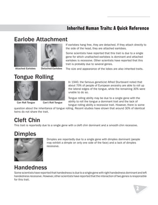 R.V.Raghavendra Rao 
Inherited Human Traits: A Quick Reference 
Earlobe Attachment 
Attached Earlobes Detached Earlobes 
If earlobes hang free, they are detached. If they attach directly to 
the side of the head, they are attached earlobes. 
Some scientists have reported that this trait is due to a single 
gene for which unattached earlobes is dominant and attached 
earlobes is recessive. Other scientists have reported that this 
trait is probably due to several genes. 
The size and appearance of the lobes are also inherited traits. 
Tongue Rolling 
In 1940, the famous geneticist Alfred Sturtevant noted that 
about 70% of people of European ancestry are able to roll up 
the lateral edges of the tongue, while the remaining 30% were 
unable to do so. 
Tongue rolling ability may be due to a single gene with the 
ability to roll the tongue a dominant trait and the lack of 
tongue rolling ability a recessive trait. However, there is some 
question about the inheritance of tongue rolling. Recent studies have shown that around 30% of identical 
twins do not share the trait. 
Cleft Chin 
This trait is reportedly due to a single gene with a cleft chin dominant and a smooth chin recessive. 
Dimples 
Dimples are reportedly due to a single gene with dimples dominant (people 
may exhibit a dimple on only one side of the face) and a lack of dimples 
recessive. 
Handedness 
Some scientists have reported that handedness is due to a single gene with right handedness dominant and left 
handedness recessive. However, other scientists have reported that the interaction of two genes is responsible 
for this trait. 
2 
Can Roll Tongue Can’t Roll Tongue 
Department of Biology 
 
