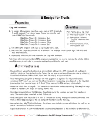 Preparation 
A Recipe for Traits 
“Dog DNA” envelopes: 
1. To prepare 14 envelopes, make four copies each of DNA Strips A, B, 
C, and D (pages 4-7) on colored paper. Choose one color for each 
type of DNA Strip. For example: 
DNA Strips A (page 5) 4 copies on Blue 
DNA Strips B (page 6) 4 copies on Green 
DNA Strips C (page 7) 4 copies on Yellow 
DNA Strips D (page 8) 4 copies on Red 
Quantities 
Per Participant or Pair 
One copy of pages P-1 to P-3 
One envelope containing 
“Dog DNA” (see instructions 
at left) 
Crayons or colored pencils, 
drawing paper, tape 
2. Cut out the DNA strips on each page (a paper-cutter works well). 
3. Place two DNA strips of each color into an envelope. The envelope should contain eight DNA strips total 
(four different colors). 
4. Repeat step three until you have assembled 14 “Dog DNA” envelopes. 
Note: Eight is the minimum number of DNA strips per envelope that you need to carry out the activity. Adding 
more DNA strips of each color increases the variety of possibilities for each trait. 
Activity Instructions 
• Display different types of instructions (e.g. a recipe book, a blueprint, a DNA molecule). Ask participants 
what they might use these instructions for. Explain that just as a recipe is used to cook a meal or a blueprint 
is used to build a home, DNA contains instructions that specify an organism’s traits. 
• Read the beginning paragraph of A Recipe for Traits (page P-1) as a group. You may want to show a 
completed DNA “recipe” and point out the different segments (representing genes) as well as the 4 symbols 
(representing the 4 chemical bases A, C, G and T) that make up the DNA alphabet in this activity. 
• Review the instructions on page P-1. You may want to demonstrate how to use the Dog Traits Key (see page 
P-2 to P-3). Read the DNA recipe and identify the first trait. 
• Remind participants to leave the DNA strips they choose out of the envelope and tape them together in 
order. The resulting long strand will be their DNA recipe. 
• Have participants work individually or in pairs to complete the activity. When participants have finished, have 
them post their dog drawings on the wall along with the DNA recipe for their dog. 
• Are any two dogs alike? Point out that every dog shares some traits in common with others, but each has an 
overall combination of traits that is unique. 
• Explain that variations in each DNA strand (the sequence of symbols) led to the inheritance of different traits. 
2013 Heredity R.V.Raghavendra Rao, PGT Biology, Vizianagaram A.P. 1 
 