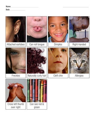Name 
Date 
R.V.Raghavendra Rao 
Attached earlobes Can roll tongue Dimples Right-handed 
Freckles Naturally curly hair Cleft chin Allergies 
Cross left thumb 
over right 
Can see red & 
green 
Department of Biology 
 