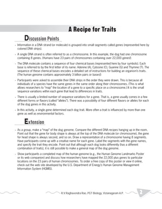 Discussion Points 
A Recipe for Traits 
• Information in a DNA strand (or molecule) is grouped into small segments called genes (represented here by 
colored DNA strips). 
• A single DNA strand is often referred to as a chromosome. In this example, the dog had one chromosome 
containing 8 genes. (Humans have 23 pairs of chromosomes containing over 22,000 genes!) 
• The DNA molecule contains a sequence of four chemical bases (represented here by four symbols). Each 
base is referred to by the first letter of its name: Adenine (A), Cytosine (C), Guanine (G) and Thymine (T). The 
sequence of these chemical bases encodes a detailed set of instructions for building an organism’s traits. 
(The human genome contains approximately 3 billion pairs or bases!) 
• Participants were asked to assemble their DNA strips in the order they were drawn. This is because all 
individuals of a species have the same genes in the same order along their chromosomes. (This is what 
allows researchers to “map” the location of a gene to a specific place on a chromosome.) It is the small 
sequence variations within each gene that lead to differences in traits. 
• There is usually a limited number of sequence variations for a gene. That is, a gene usually comes in a few 
different forms or flavors (called “alleles”). There was a possibility of four different flavors or alleles for each 
of the dog genes in this activity. 
• In this activity, a single gene determined each dog trait. More often a trait is influenced by more than one 
gene as well as environmental factors. 
Extension 
• As a group, make a “map” of the dog genome. Compare the different DNA recipes hanging up in the room. 
Point out that the gene for body shape is always at the top of the DNA molecule (or chromosome), the gene 
for head shape is always second, and so on. Draw a representation of a chromosome having 8 segments. 
Have participants come up with a creative name for each gene. Label the segments with the gene names, 
and specify the trait they encode. Point out that although each dog looks differently (has a different 
combination of traits), it is still possible to make a general map of the dog genome. 
• Show participants a completed map of the human genome (e.g., the Human Genome Landmarks Poster 
or its web companion) and discuss how researchers have mapped the 22,000 plus genes to particular 
locations on the 23 pairs of human chromosomes. To order a free copy of this poster or view it online, 
check out the web site developed by the U.S. Department of Energy’s Human Genome Management 
Information System (HGMIS). 
R.V.Raghavendra Rao, PGT Biology, Vizianagaram A.P. 2 2013 Heredity 
 