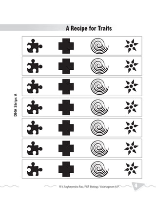 DNA Strips A 
A Recipe for Traits 
R.V.Raghavendra Rao, PGT Biology, Vizianagaram A.P. 4 2013 Heredity 
 