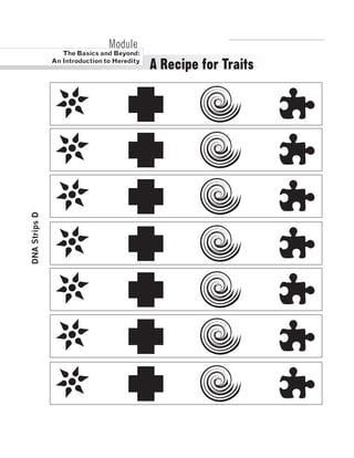 DNA Strips D 
R.V.Raghavendra Rao 
A Recipe for Traits 
Module 
The Basics and Beyond: 
An Introduction to Heredity 
Department of Biology 
 