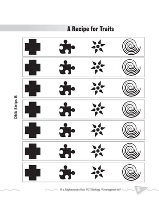 DNA Strips B 
A Recipe for Traits 
R.V.Raghavendra Rao, PGT Biology, Vizianagaram A.P. 5 2013 Heredity 
 