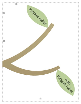 Introduction to heredity curriculum final