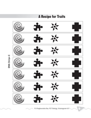 DNA Strips C 
A Recipe for Traits 
R.V.Raghavendra Rao, PGT Biology, Vizianagaram A.P. 6 2013 Heredity 
 