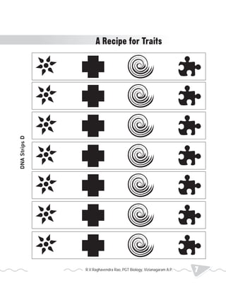 DNA Strips D 
A Recipe for Traits 
R.V.Raghavendra Rao, PGT Biology, Vizianagaram A.P. 7 2013 Heredity 
 