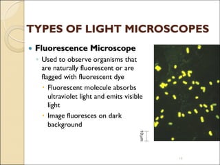 Fluorescent Microscope Usage introduction to histology and its methods of study.pdf