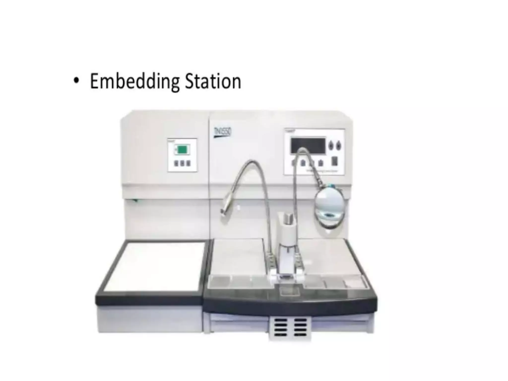 Introduction to Histopathology and Lab organization.pptx