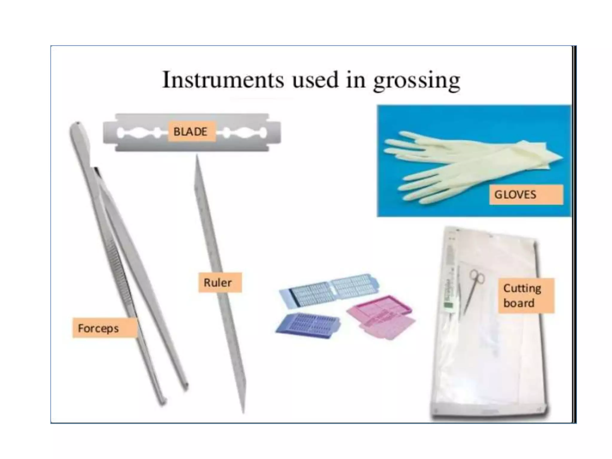Introduction to Histopathology and Lab organization.pptx