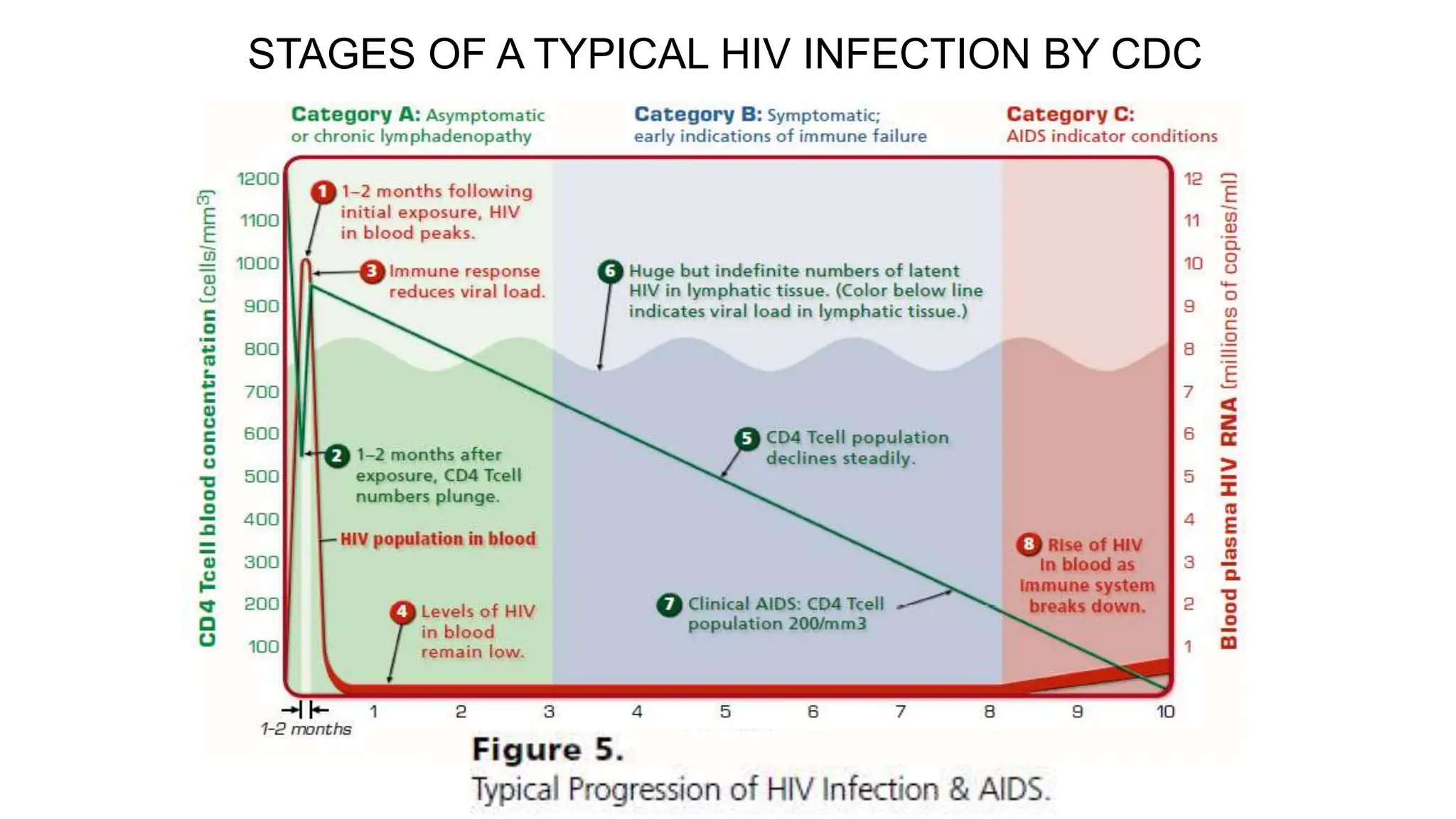 Introduction to HIV and AIDS.pptx