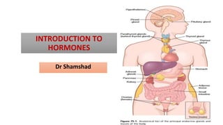 INTRODUCTION TO
HORMONES
Dr Shamshad
 