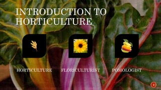 INTRODUCTION TO
HORTICULTURE
2
HORTICULTURE FLORICULTURIST POMOLOGIST
 