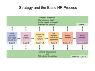 Strategy and the Basic HR Process

 