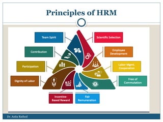 Dr. Anita Rathod
Principles of HRM
 