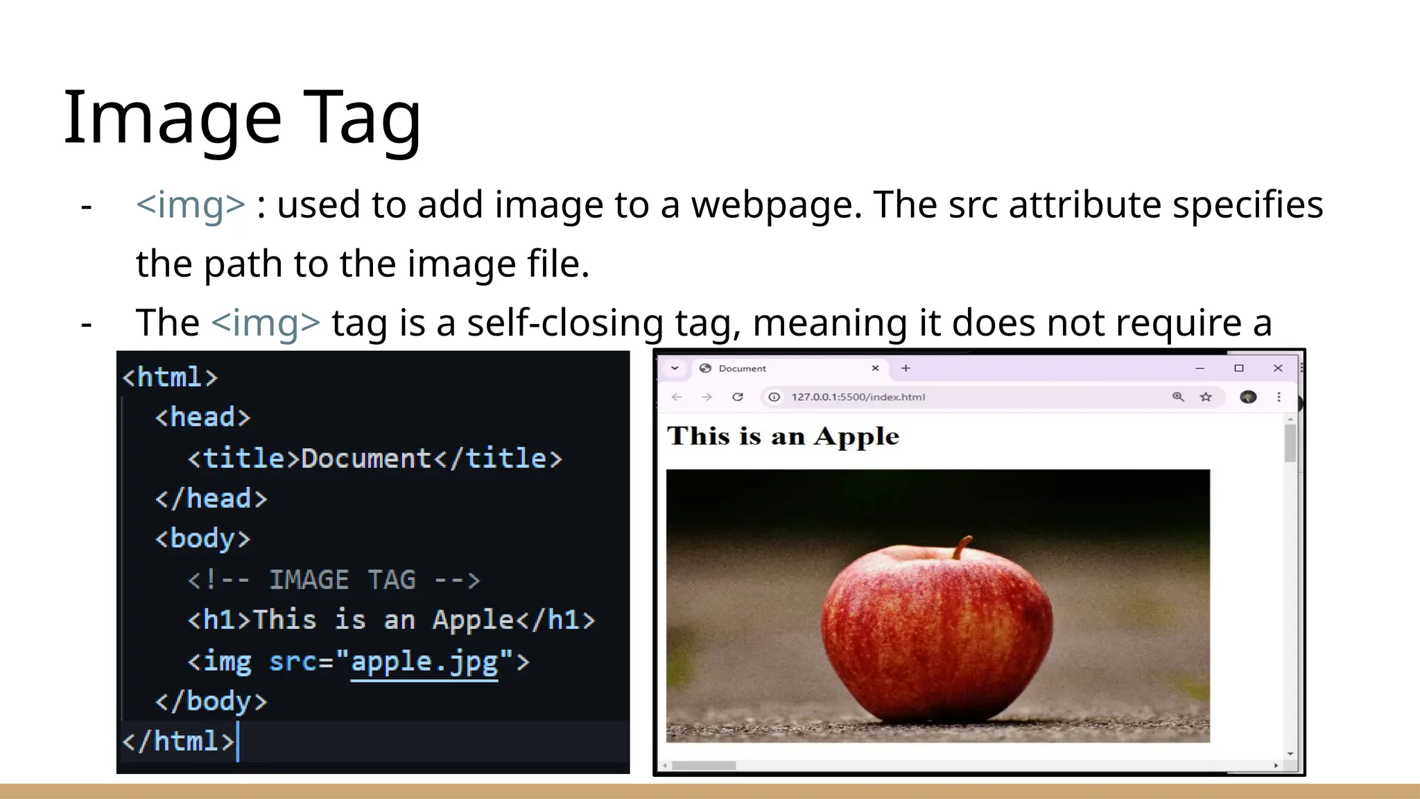 Image Tag
- <img> : used to add image to a webpage. The src attribute specifies
the path to the image file.
- The <img> tag is a self-closing tag, meaning it does not require a
closing tag.
 