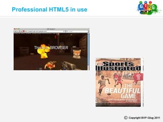 Professional HTML5 in use
 