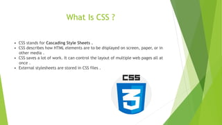 INTRODUCTION TO HTML & CSS .pptx