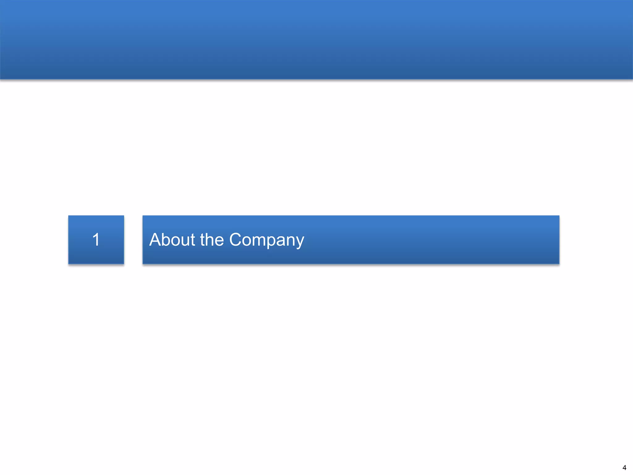 1

About the Company

4

 