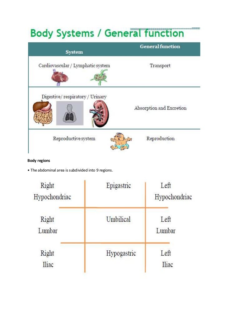 Basic Human Anatomy Terminology