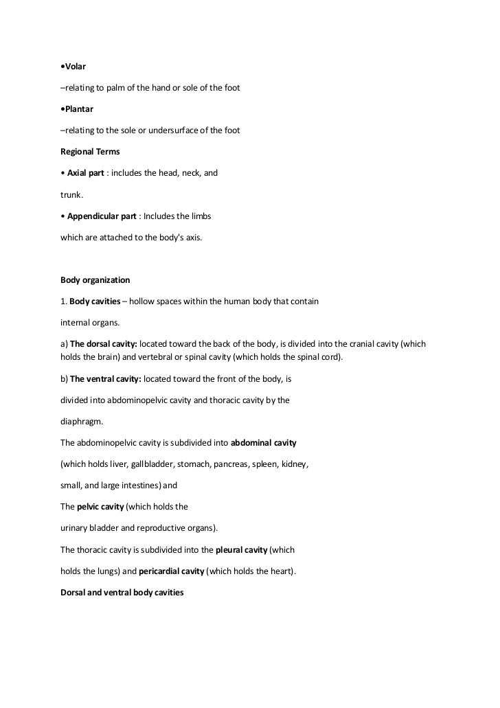 Basic Human Anatomy Terminology