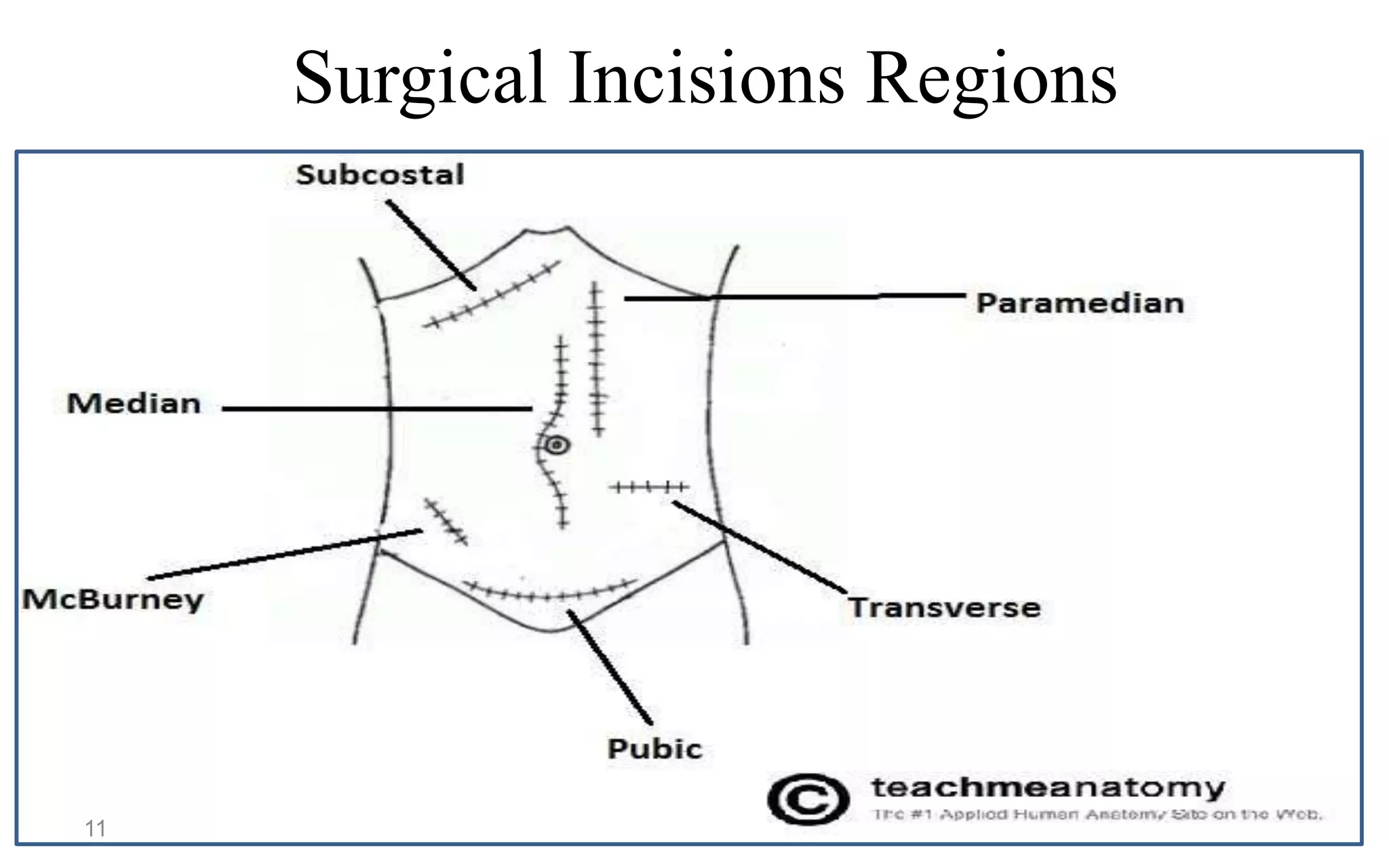 Introduction to human anatomy | PPTX
