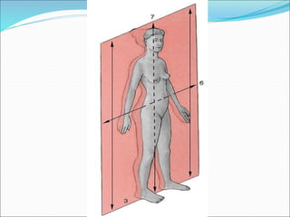 Introduction to Human Anatomy.ppt