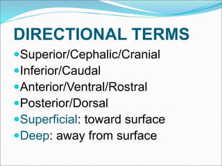 Introduction to Human Anatomy.ppt
