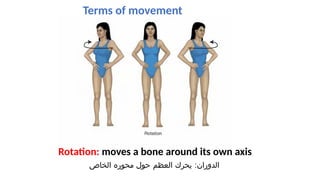 Human Rotation Introductilkk;lk;lon to human anatomy 2.pptx