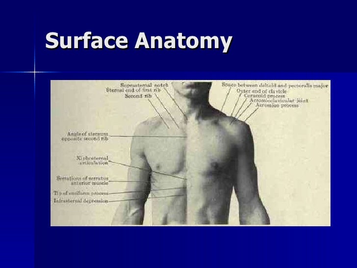 Introduction to Human A&P