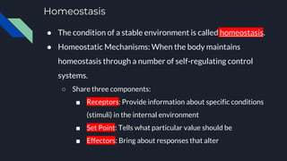 Homeostasis
● The condition of a stable environment is called homeostasis.
● Homeostatic Mechanisms: When the body maintains
homeostasis through a number of self-regulating control
systems.
○ Share three components:
■ Receptors: Provide information about specific conditions
(stimuli) in the internal environment
■ Set Point: Tells what particular value should be
■ Effectors: Bring about responses that alter
 