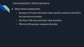 Homeostatic Mechanisms
● Share three components:
○ Receptors: Provide information about specific conditions (stimuli) in
the internal environment
○ Set Point: Tells what particular value should be
○ Effectors: Bring about responses that alter
 