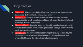 Body Cavities
● Diaphragm: A broad, thin skeletal (voluntary) muscle and separates the
thoracic cavity from the abdominopelvic cavity
● Mediastinum: A region that separates the thoracic cavity into two
compartments, which contain the right and left lungs. Contains the heart,
esophagus, trachea and thymus
● Abdominal Cavity: Contains upper portion of the Abdominopelvic cavity.
Includes the stomach, livers, spleen, gallbladder, kidneys, and most of the
small and large intestines.
● Pelvic Cavity: The portion of the abdominopelvic cavity enclosed by the
hip bones. It contains the terminal portion of the large intestine, the
urinary bladder, and the internal reproductive organs.
 