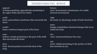 UNDERSTANDING WORDS
append-
to hang something: appendicular-pertaining to
the upper limbs and lower limbs.
cardi-
heart: pericardium-membrane that surrounds the
heart.
cerebr-
brain: cerebrum-largest part of the brain.
cran-
helmet: cranial-pertaining to the part of the skull
that surrounds the brain.
dors-
back: dorsal-position toward the back of the
body.
homeo-
same: homeostasis-maintenance of a stable
internal environment.
-logy
the study of: physiology-study of body functions.
meta-
change: metabolism-chemical changes that occur
within the body.
nas-
nose: nasal-pertaining to the nose.
orb-
circle: orbital-pertaining to the portion of skull
that encircles an eye.
 