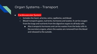 Organ Systems - Transport
● Cardiovascular System
○ Includes the heart, arteries, veins, capillaries, and blood.
○ Blood transports gases, nutrients, hormones and wastes. It carries oxygen
from the lungs and nutrients from the digestive organs to all body cells.
■ Also transports hormones and carries wastes from the body cells to
the excretory organs, where the wastes are removed from the blood
and released to the outside.
 
