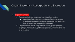 Organ Systems - Absorption and Excretion
● Digestive System
○ Absorb nutrients and oxygen and excrete various wastes.
■ Break down food molecules into simpler forms that can pass
through cell membranes and thereby absorbed into the bodily
fluids. Materials not absorbed are eliminated.
○ Organs included: mouth, tongue, teeth, salivary glands, pharynx,
esophagus, stomach, liver, gallbladder, pancreas, small intestine, and
large intestine
 