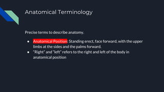 Anatomical Terminology
Precise terms to describe anatomy.
● Anatomical Position: Standing erect, face forward, with the upper
limbs at the sides and the palms forward.
● “Right” and “left” refers to the right and left of the body in
anatomical position
 